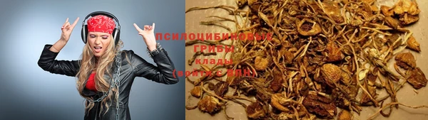 мдпв Абдулино