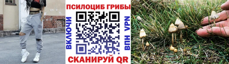 Псилоцибиновые грибы Psilocybine cubensis  ссылка на мегу ссылка  Екатеринбург 