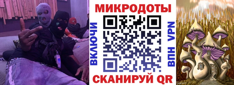 Галлюциногенные грибы Cubensis Екатеринбург