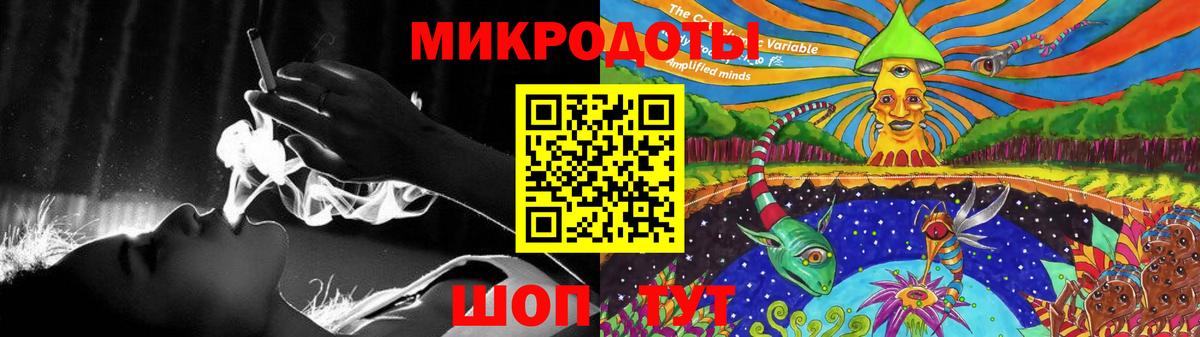 Псилоцибиновые грибы Psilocybine cubensis Екатеринбург
