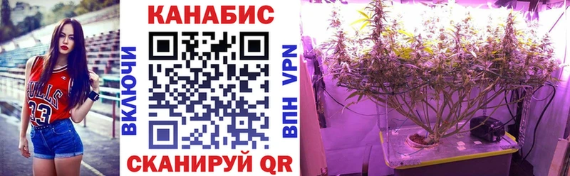 Конопля OG Kush  купить закладку  Екатеринбург 